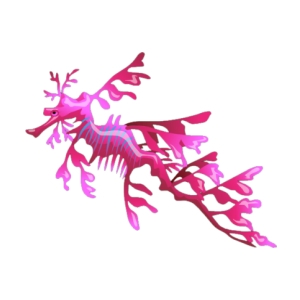 Pink Leafy Sea Dragon